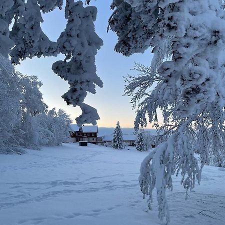 Gemuetliche Ferienwohnung Harz Braunlage Hohegeiss 外观 照片