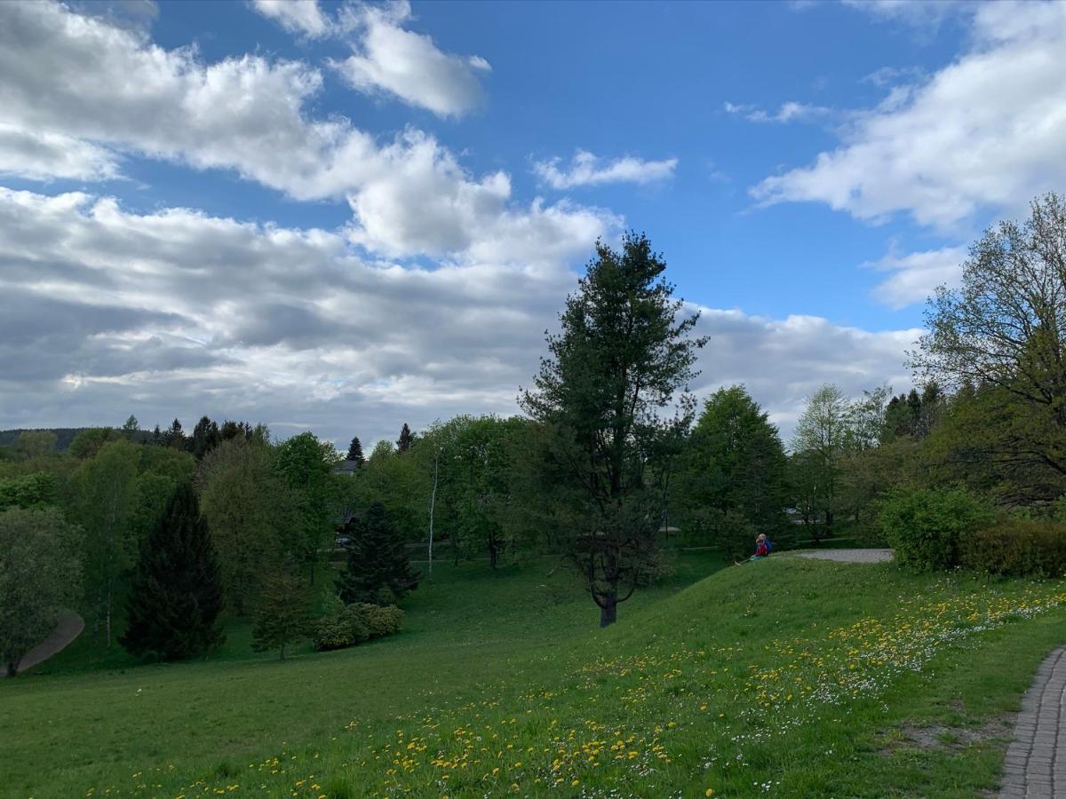 Gemuetliche Ferienwohnung Harz Braunlage Hohegeiss 外观 照片