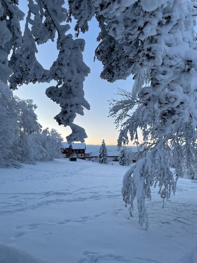 Gemuetliche Ferienwohnung Harz Braunlage Hohegeiss 外观 照片